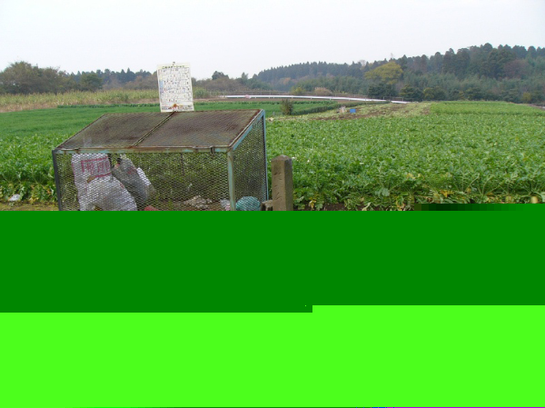 image0029