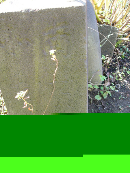 image0039