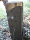 image0017