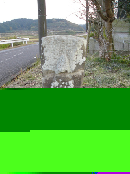 image0045