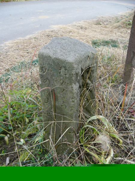 image0049