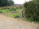 image0058