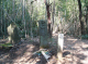 image0081