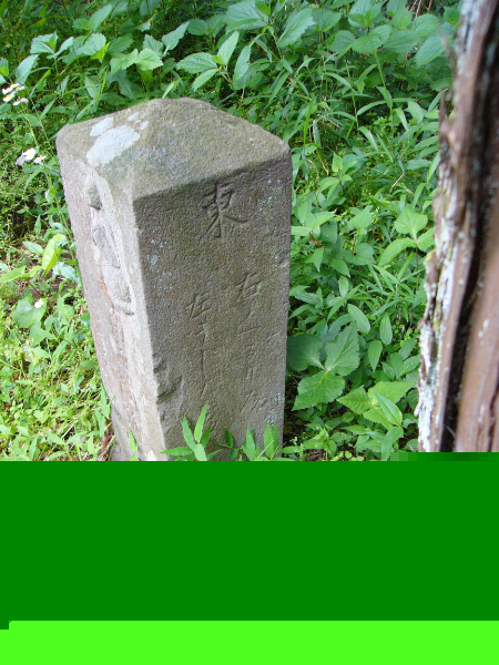 image0008