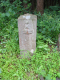 image0006