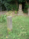 image0000