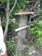 image0009