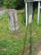 image0005