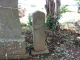 image0011