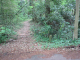 image0014