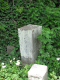 image0007