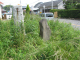 image0000