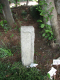image0010