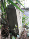 image0015