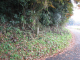 image0017