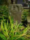 image0001
