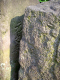 image0011