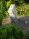 image0003