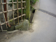 image0028