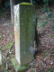image0020