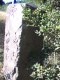 image0003