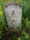 image0017