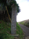 image0016