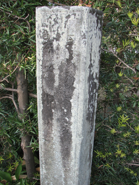 image0010