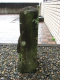 image0003