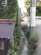 image0008