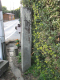 image0009