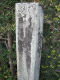image0010