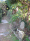 image0029