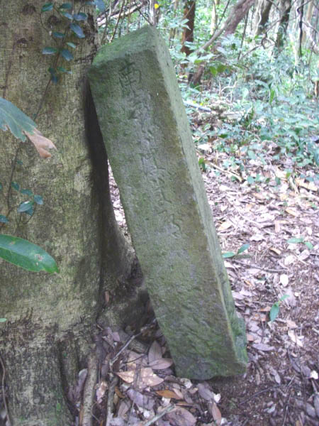 image0001