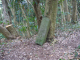 image0002