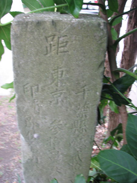 image0008