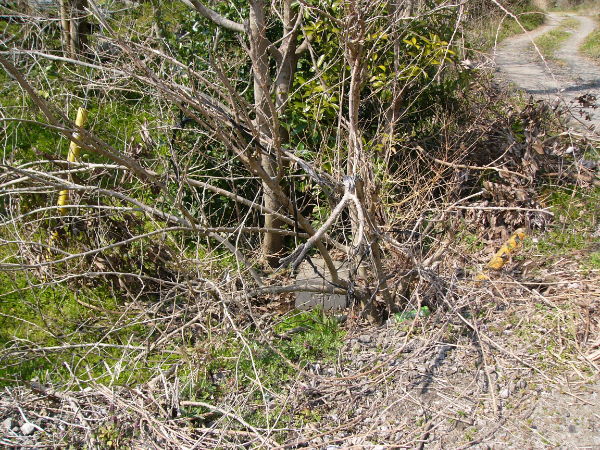 image0015