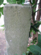 image0008