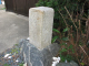 image0012