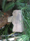 image0014