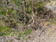 image0015