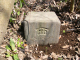 image0016