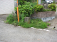image0015