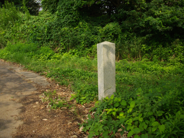 image0022