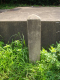image0005