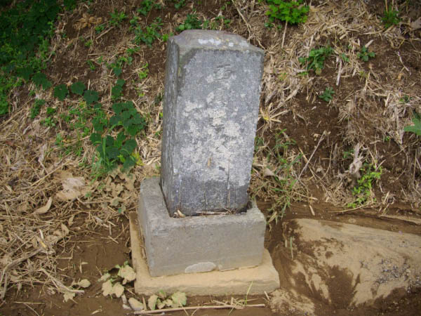 image0035