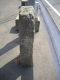image0019