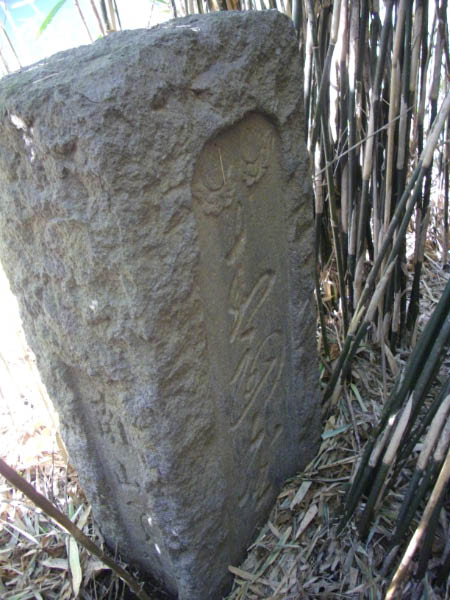 image0005