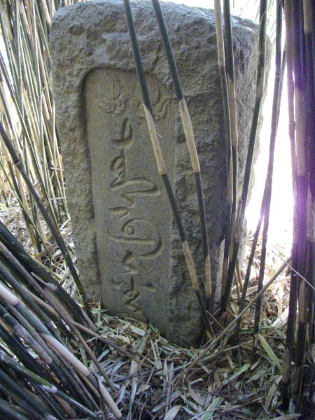 image0006