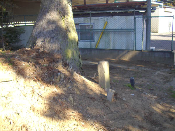 image0007